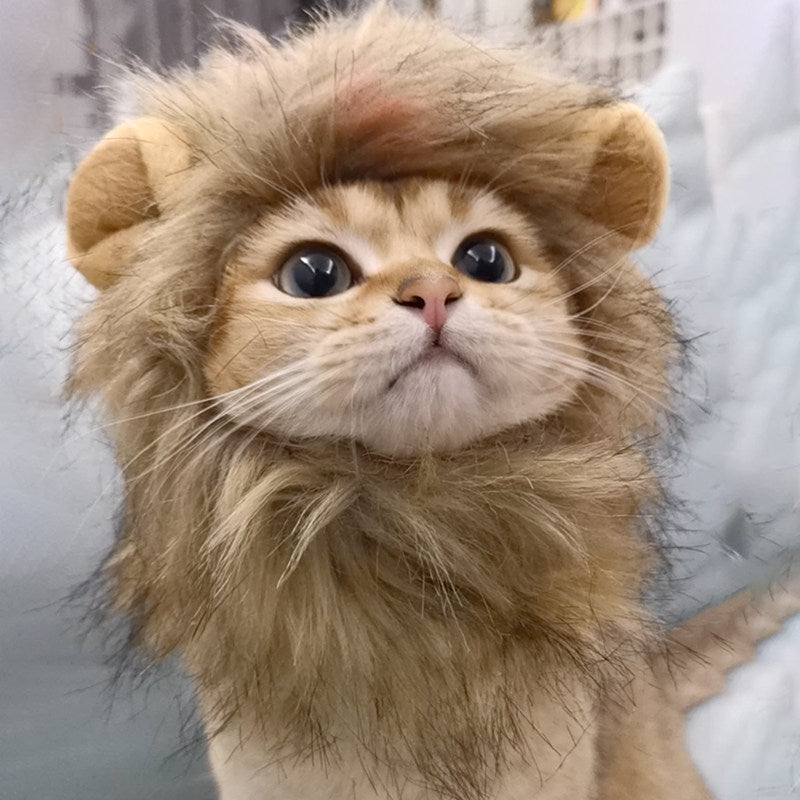 Cute Lion Mane & Bunny Ear Pet Hat – Funny Dress-Up Headpiece for Cats & Small Dogs