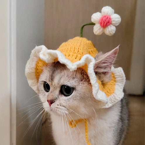 Lolita Maid Style Flower Pet Hat – Knitted Wavy Brim Headpiece for Cats & Small Dogs