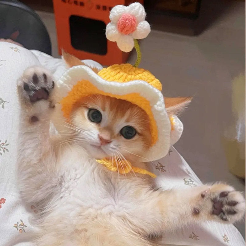 Lolita Maid Style Flower Pet Hat – Knitted Wavy Brim Headpiece for Cats & Small Dogs