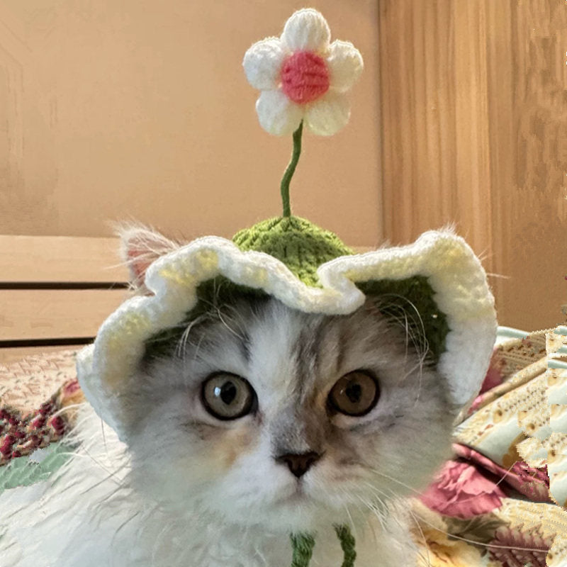 Lolita Maid Style Flower Pet Hat – Knitted Wavy Brim Headpiece for Cats & Small Dogs